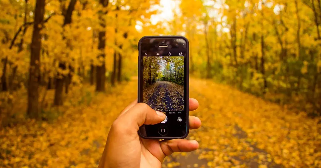 App incontri: una mano tiene uno smartphone in un viale d'autunno